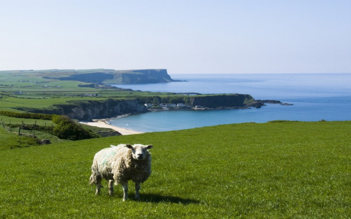 Curiosidades sobre a Irlanda