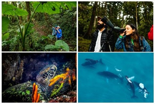 A grande viagem natural: Panamá, coração migratório