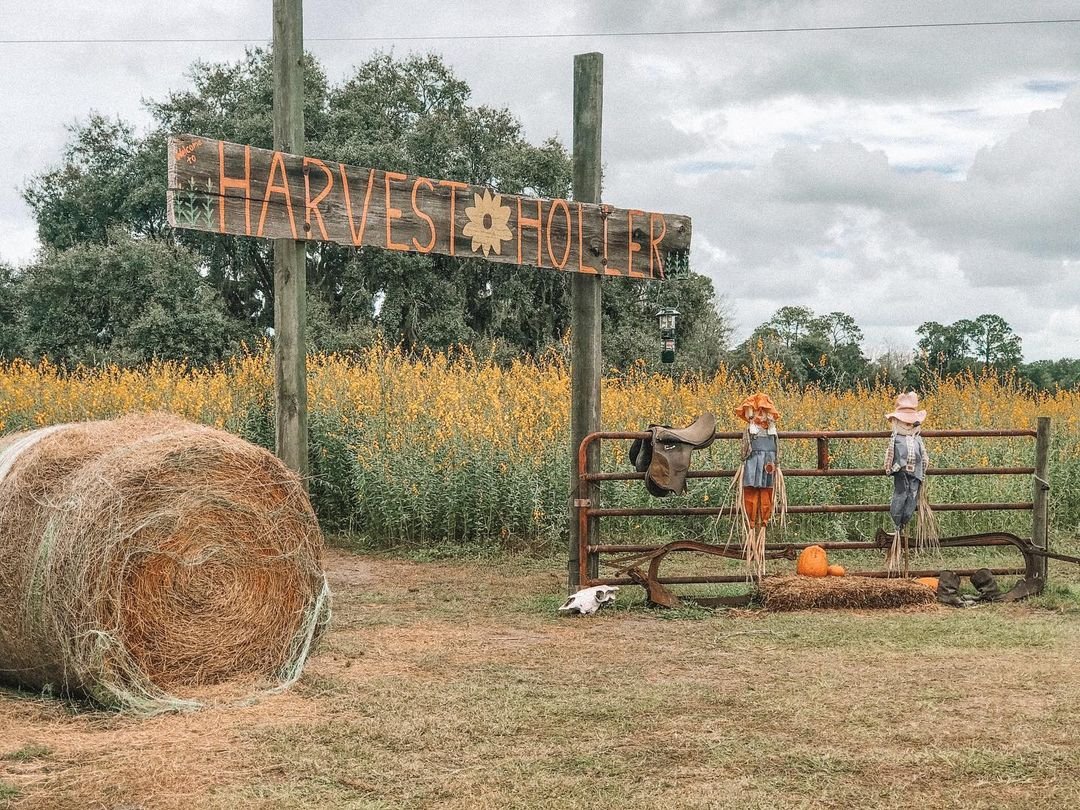 O que fazer na Flórida no Outono: Festivais e eventos de Halloween